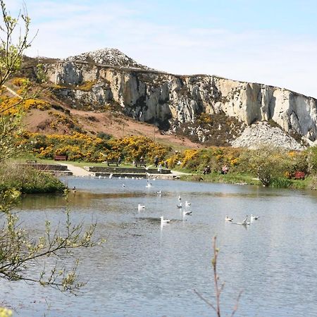 Willa Swn Y Nant Holyhead Zewnętrze zdjęcie